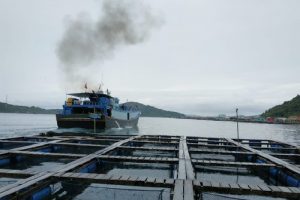 Pemkab Anambas Beri Akses Kapal Hongkong Bawa Ikan Ekspor