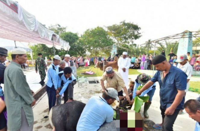 
					Pelaksanaan penyembelihan hewan kurban pada Hari Raya Idul Adha 1440 H 2019 di area Masjid Agung Kabupaten Karimun.