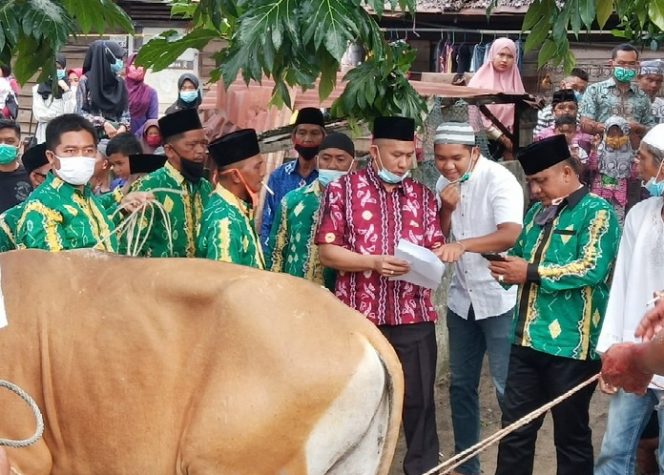 
					Ketua KKB Kabupaten Karimun, Felly Eka Saputra menyaksikan proses penyembelihan hewan kurban,di Gedung Sekretariat KKB Karimun, Sabtu (1/8/2020).