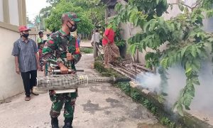 Personel Koramil Moro Lakukan Fogging Basmi Nyamuk DBD