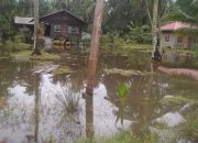 Tanggul Jebol, Puluhan Rumah Warga di  Kundur Terendam Banjir