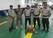 Polres Bintan Amankan 144 Botol Arak di Kapal Roro yang Datang dari Kalbar